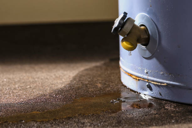 Best 24-hour water damage restoration  in Wilmington Manor, DE