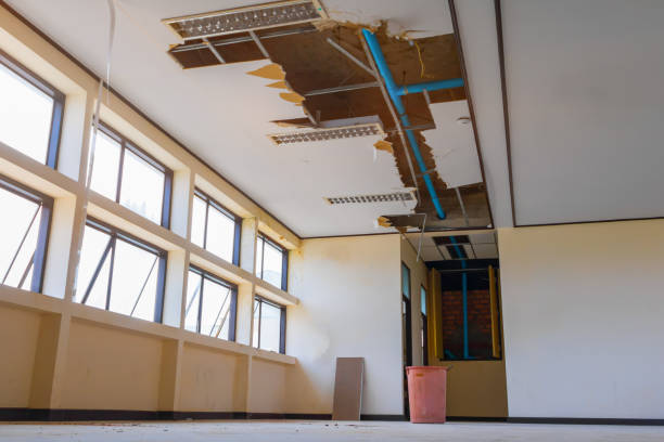 Best Sewage cleanup and water damage restoration  in Wilmington Manor, DE