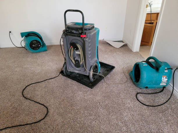 Best Water damage cleanup near me  in Wilmington Manor, DE