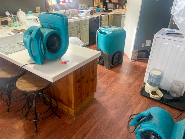 Best Carpet water damage restoration  in Wilmington Manor, DE
