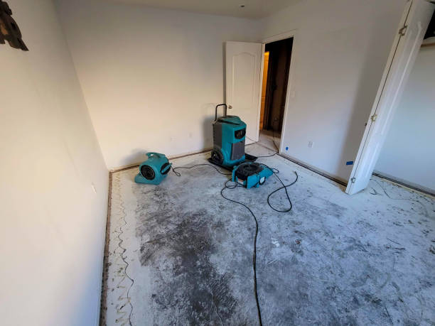 Best Water damage cleanup near me  in Wilmington Manor, DE