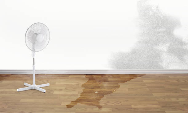 Best Fire Damage Restoration  in Wilmington Manor, DE