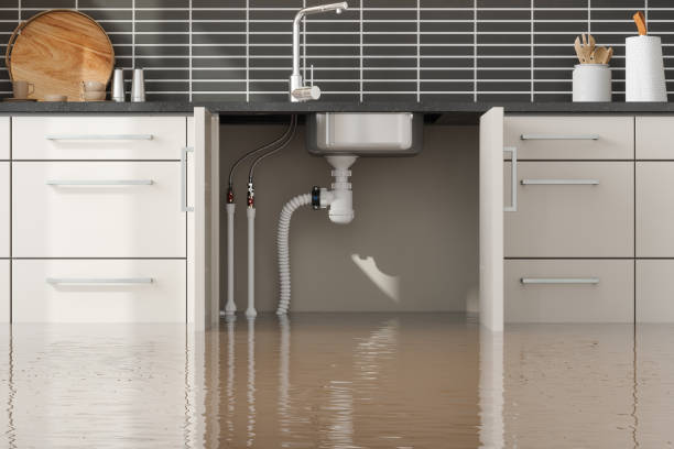  Wilmington Manor, DE Water damage restoration Pros