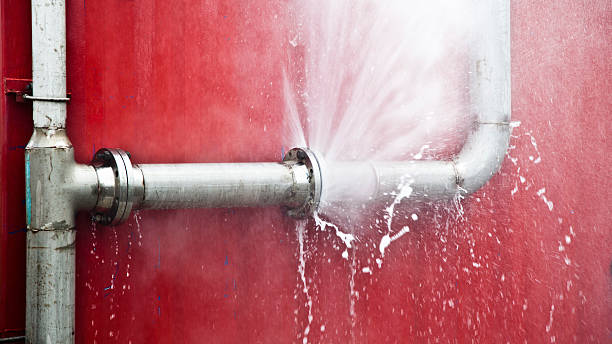 Best Flood damage cleanup  in Wilmington Manor, DE